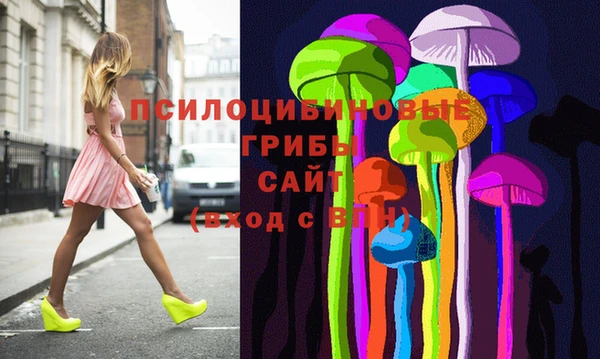 шишки Алексеевка