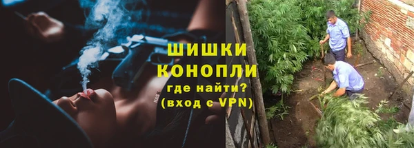 шишки Алексеевка